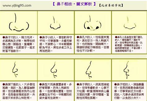 鼻子運勢|面相大全——鼻子